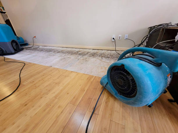 Professional Flood Damage Cleanup technician working in Lake Ann, MI